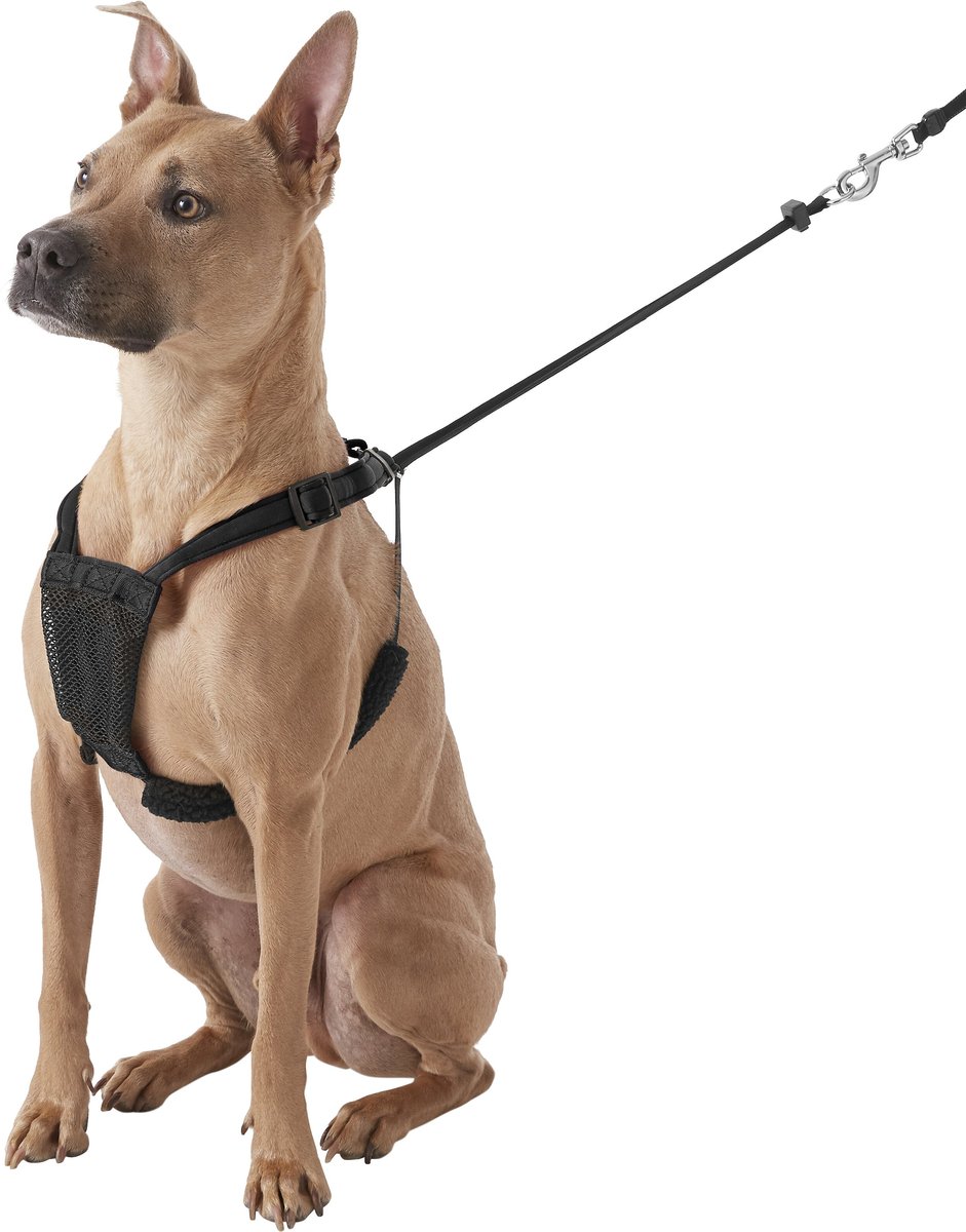 Sporn no 2025 pull mesh harness