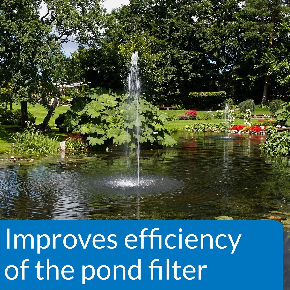 API Pond Accu-clear Water Clarifier - Chiarificatore Per Acqua Stagni, Rimuove Particelle Sospese, Per Laghetti Da Giardino