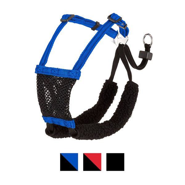 Sporn Mesh No Pull Dog Harness, Blue, Small: 9 to 12-in neck slide 1 of 9