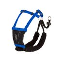 Sporn Mesh No Pull Dog Harness, Blue, Small: 9 to 12-in neck