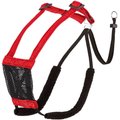 Sporn Mesh No Pull Dog Harness, Red, Large/X-Large: 16 to 24-in neck