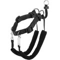 Sporn Training Halter Nylon No Pull Dog Harness, Black, Medium: 12 to 17-in neck