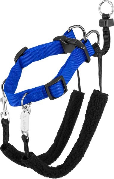 Sporn Training Halter Nylon No Pull Dog Harness, Blue, Medium: 12 to 17-in neck slide 1 of 10