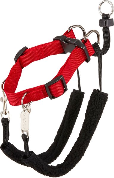 Sporn Training Halter Nylon No Pull Dog Harness, Red, Medium: 12 to 17-in neck slide 1 of 10