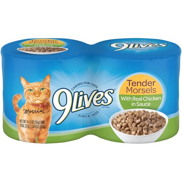 Nature's Recipe Culinary Favorites Grilled Recipe with Real Salmon & Garden Vegetables in Savory Sauce Wet Cat Food