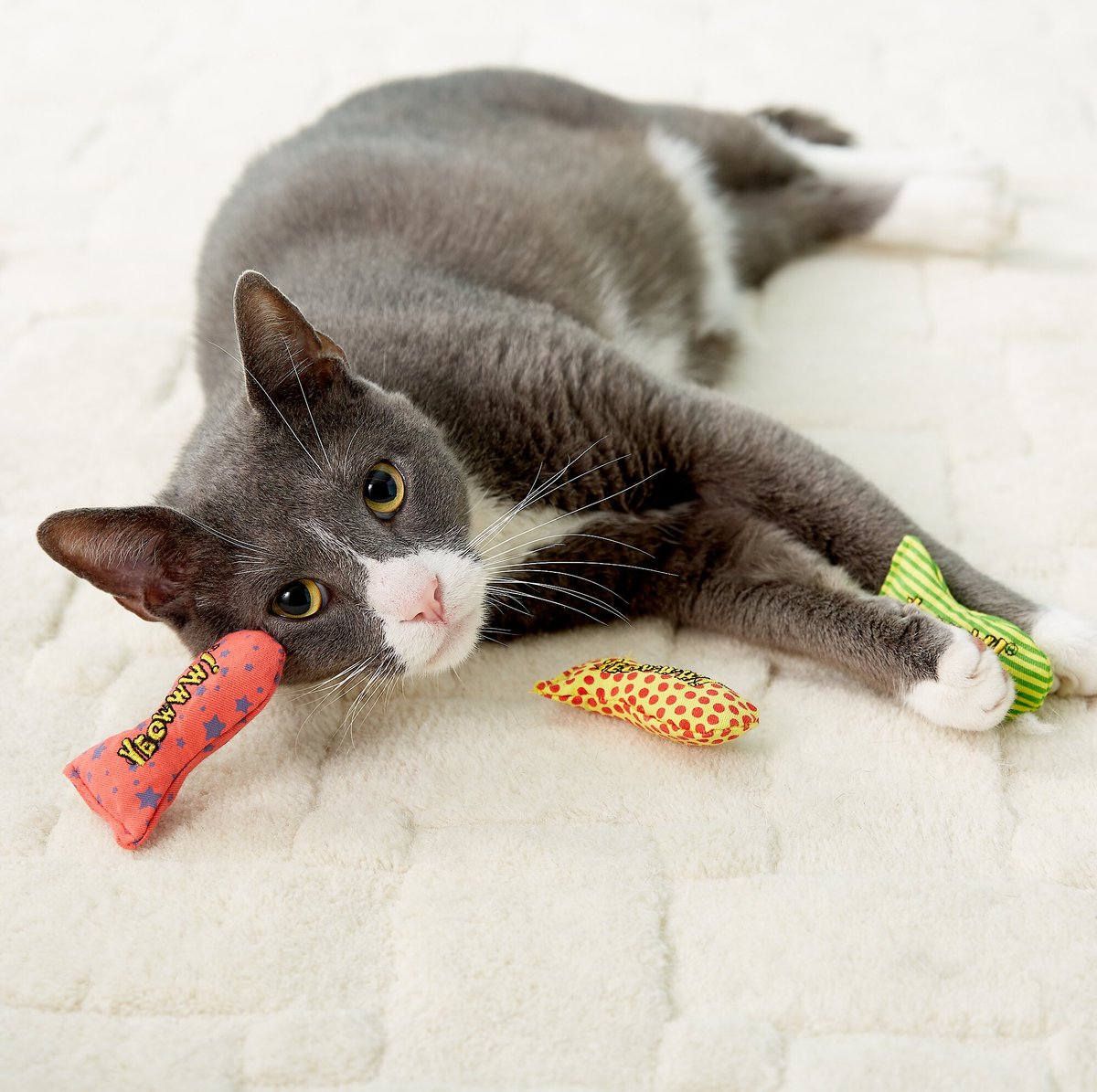 Stinkies shop cat toys