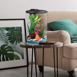 Koller Products Tropical 360 View Aquarium Starter Kit, 3-gal slide 2 of 7