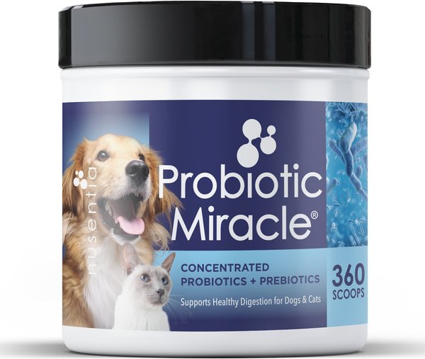 Nusentia Probiotic Miracle Premium Blend Dog & Cat Supplement, 131g jar slide 1 of 7