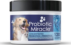 Nusentia Probiotic Miracle Premium Blend Dog & Cat Supplement, 44g jar slide 1 of 7