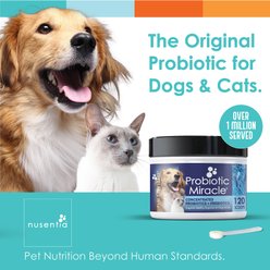Nusentia Probiotic Miracle Premium Blend Dog & Cat Supplement, 44g jar slide 2 of 7