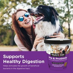 Nutri-Vet Pre & Probiotics Soft Chews Digestive Supplement for Dogs, 120 count slide 2 of 9