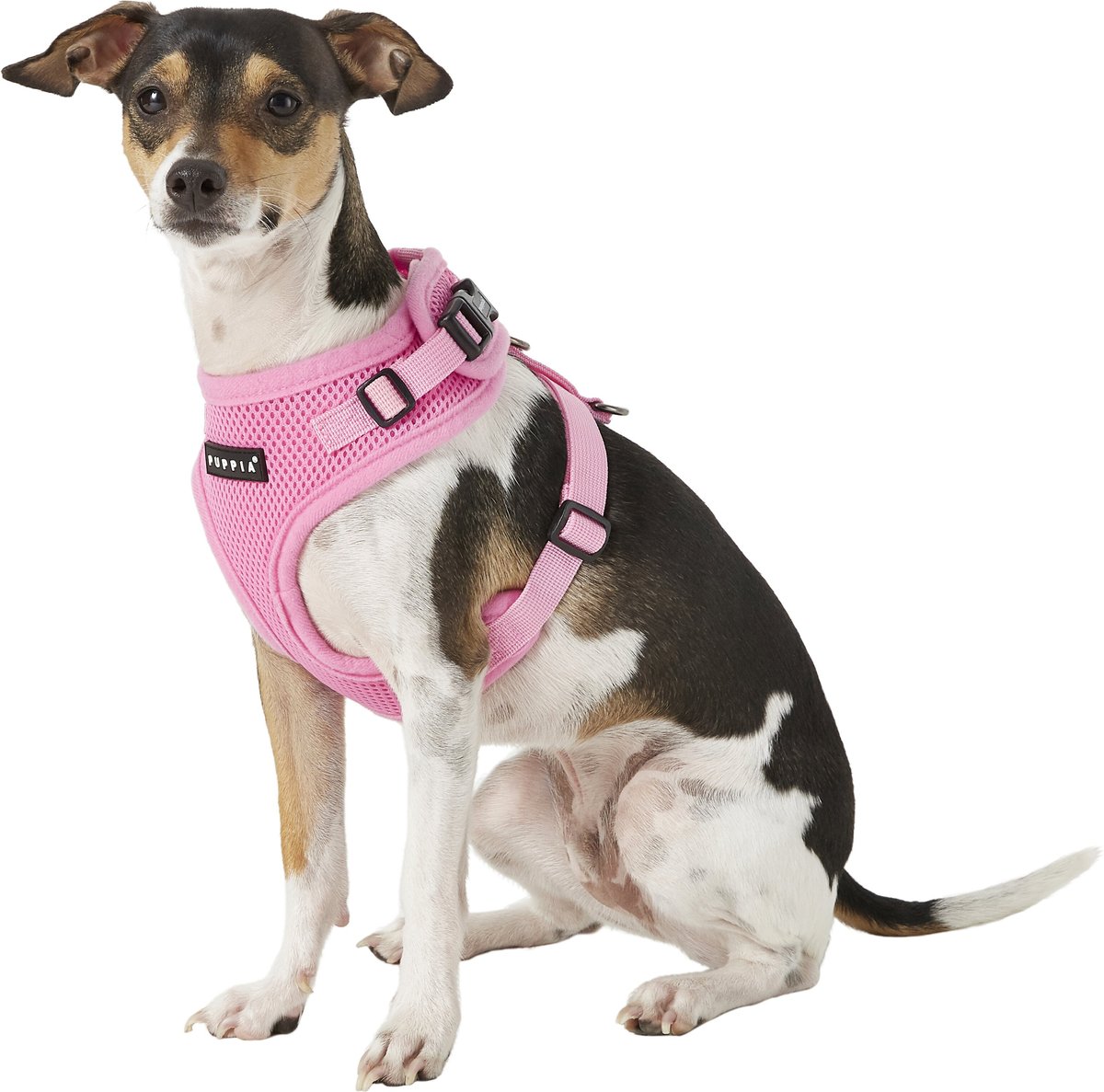 Puppia authentic ritefit harness with hot sale adjustable neck