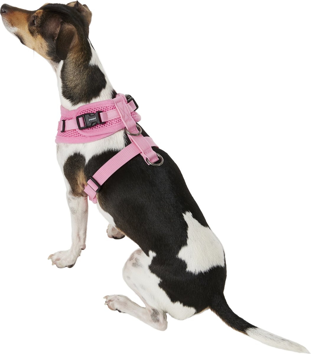 Puppia best sale ritefit harness