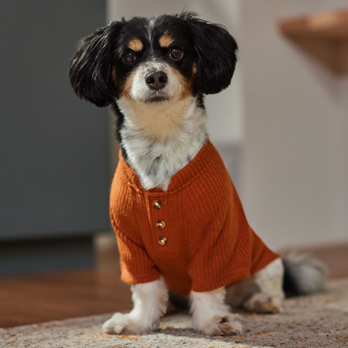 Wagatude Waffle Henley Dog Sweater
