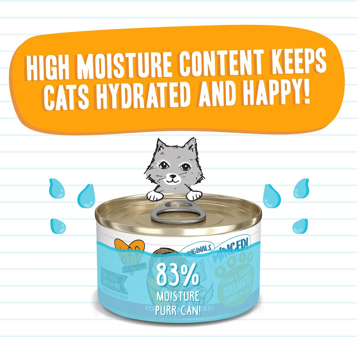 Cat food with 2025 high moisture content