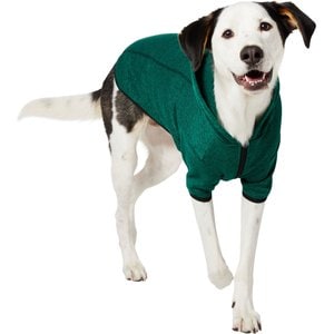Frisco Full Zip Dog & Cat Sweater Fleece Hoodie, Green, X-Large