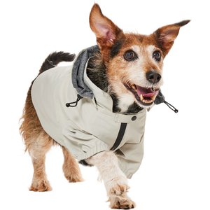 Frisco Ultra Lightweight Dog & Cat Windbreaker with Removable Hood, Gray, Medium