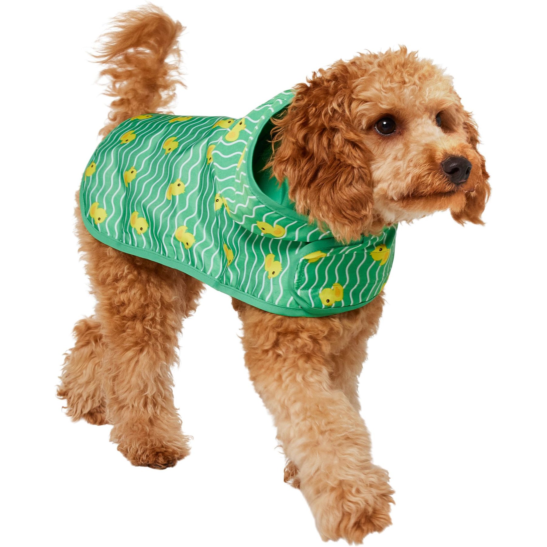 Frisco rubber ducky dog raincoat hotsell