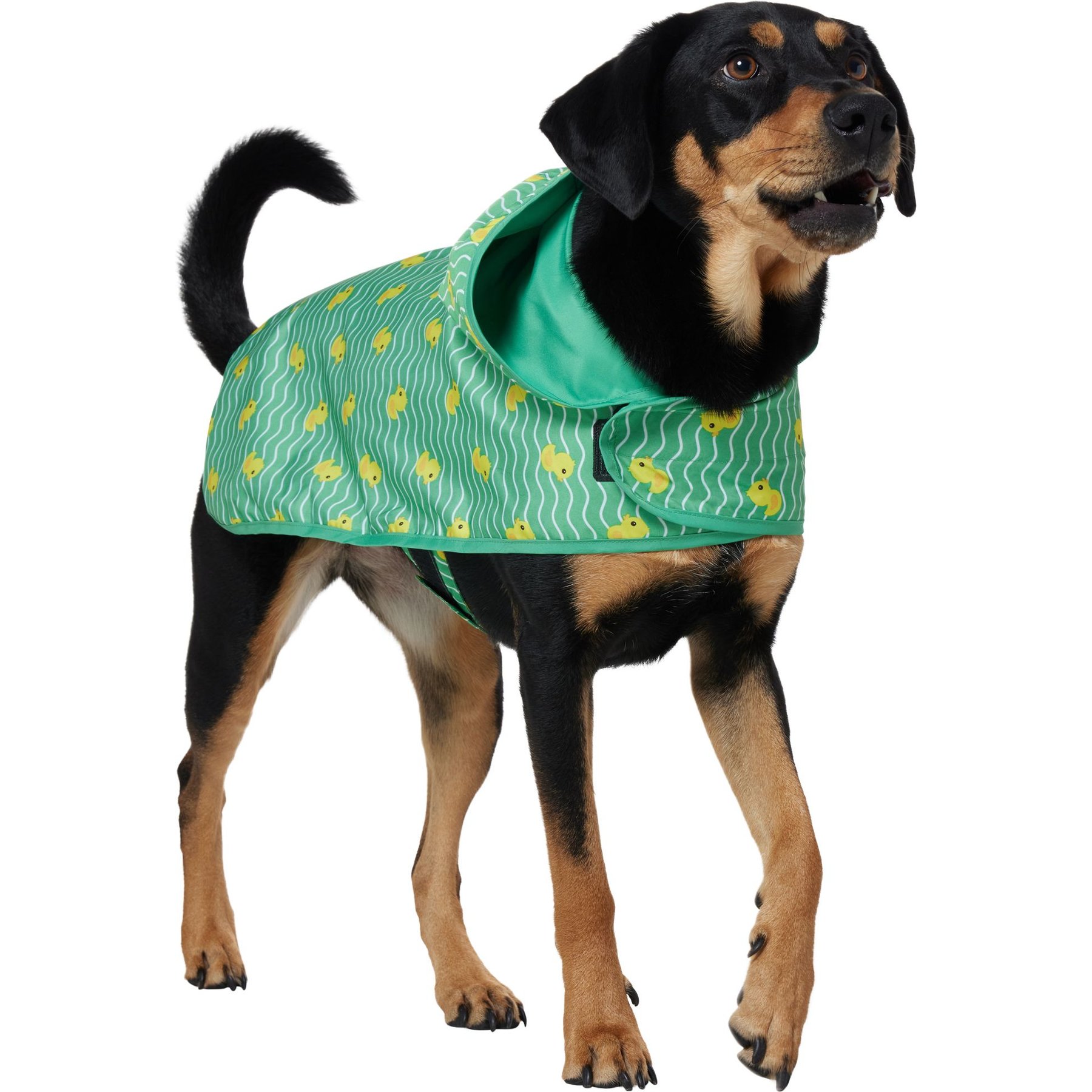 FRISCO Lightweight Rubber Ducky Dog Raincoat Green XX Large Chewy