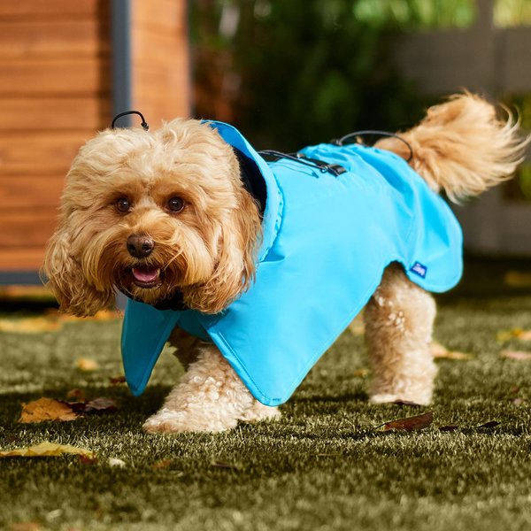 Frisco Mediumweight High Visibility Fleece Lined Dog Coat with Snood
