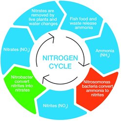 Aqua Natural Midnight Pearl Bio-Substrate Aquarium Gravel, 5-lb bag slide 2 of 2