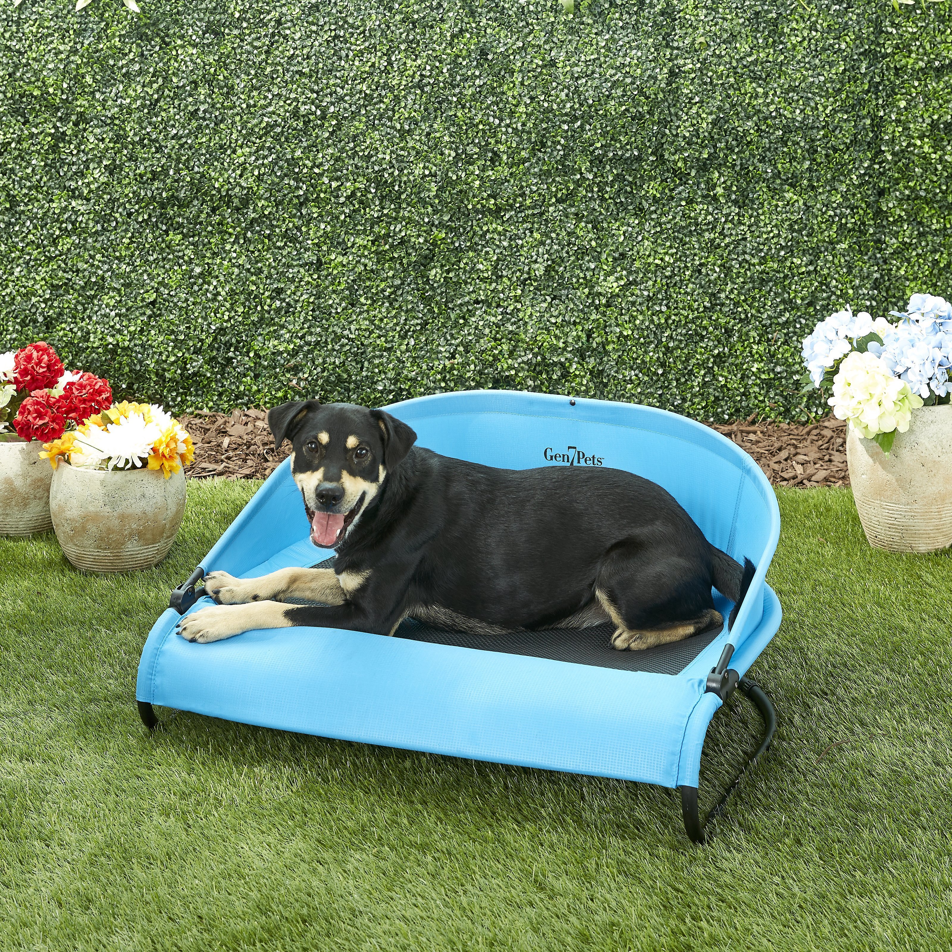 Gen7pets bed best sale