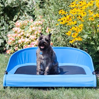 Show full view: Gen7Pets Cool-Air Cot Elevated Dog Bed, Trailblazer Blue, Medium slide 5 of 12