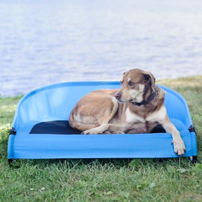 Show full view: Gen7Pets Cool-Air Cot Elevated Dog Bed, Trailblazer Blue, Large slide 5 of 12