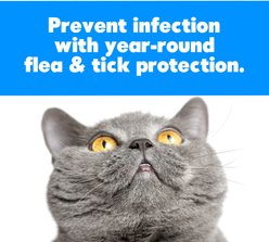 Sergeant's Gold Flea & Tick Cat Shampoo, 12-oz bottle slide 2 of 2