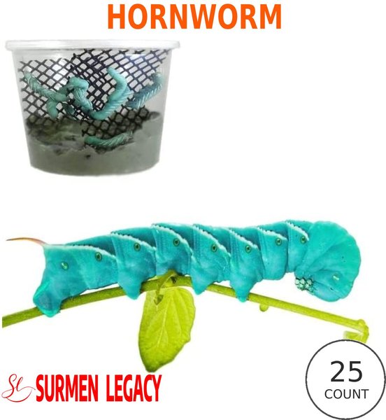 SURMEN LEGACY Live Hornworms Live Feed Reptile Food, 25 count