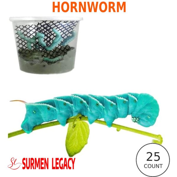 Reptile Feeders USA Hornworms