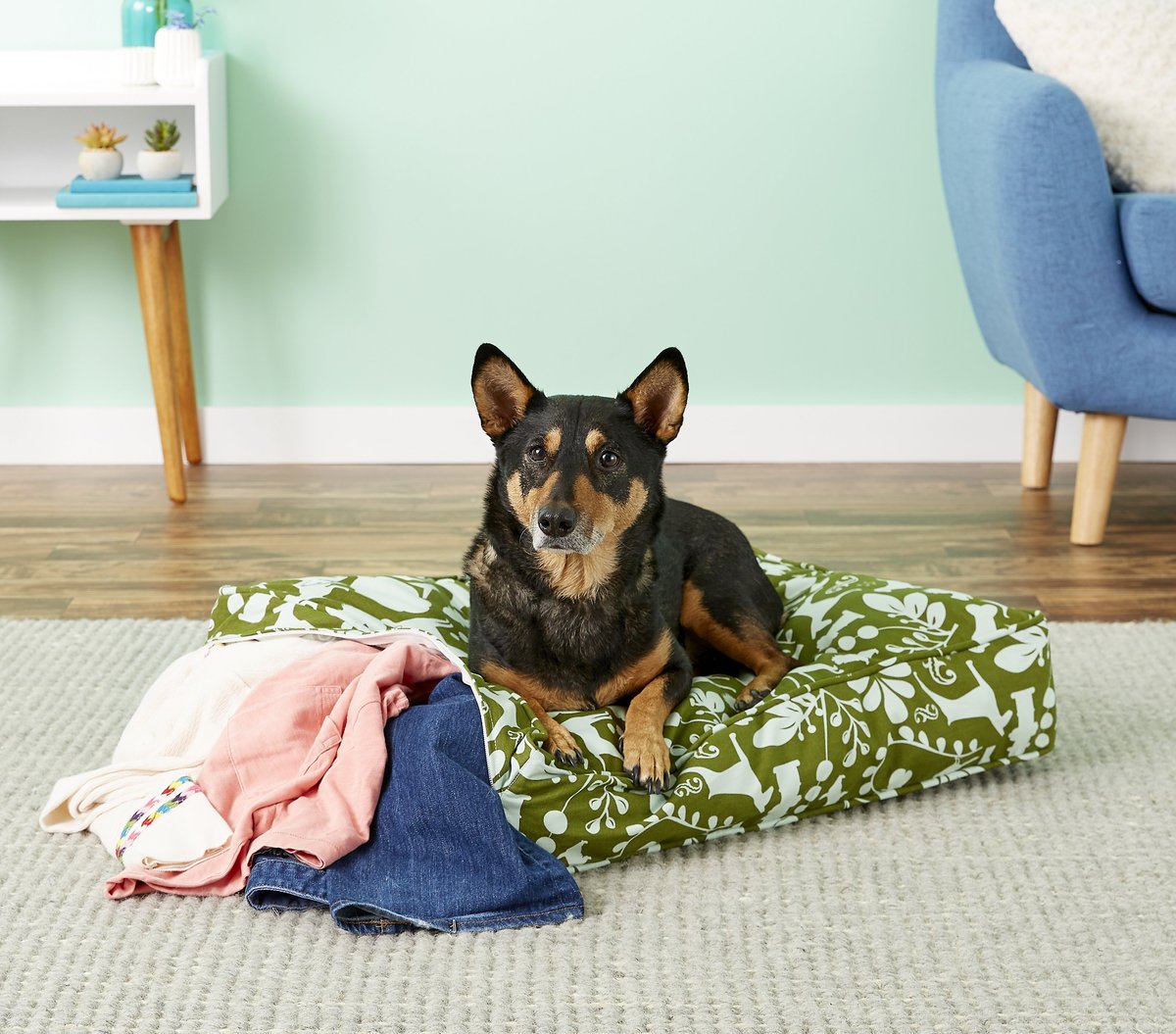 MOLLY MUTT Amarillo by Morning Square Dog Bed Duvet Cover, Huge, Small