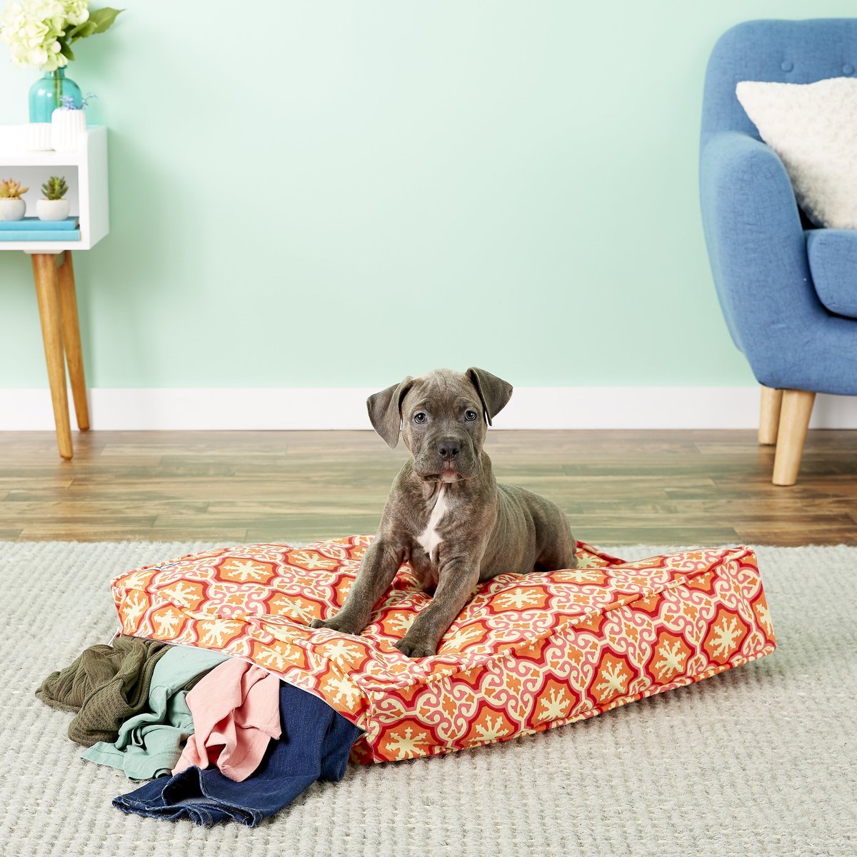 Mollymutt store pillow bed