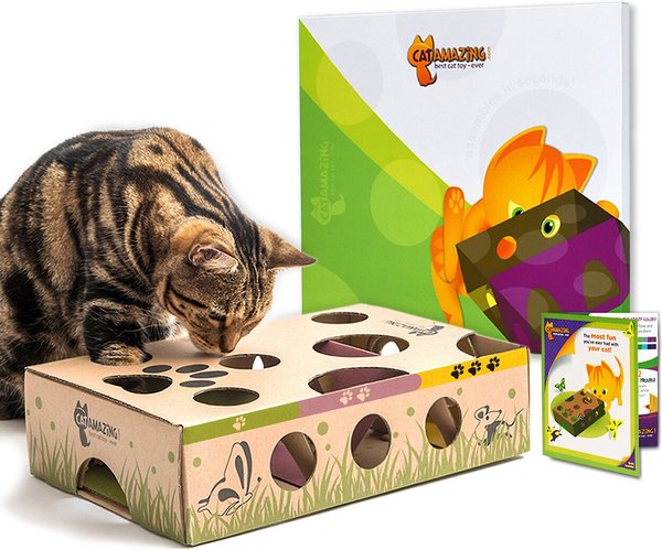 Cat Amazing Interactive Treat Maze & Puzzle Cat Toy slide 1 of 10