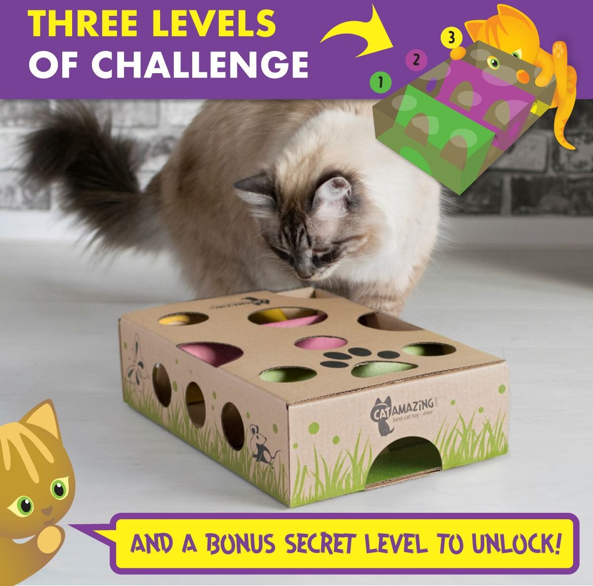 Cat amazing treat outlet maze