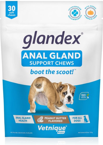 Vetnique Labs Glandex Anal Gland & Probiotic Peanut Butter Flavored Pumpkin Fiber Soft Chew Digestive Dog Supplement, 30 count slide 1 of 8
