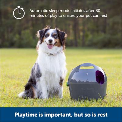 Show full view: PetSafe Automatic Ball Launcher Dog Toy slide 5 of 10