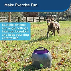 PetSafe Automatic Ball Launcher Dog Toy slide 2 of 7