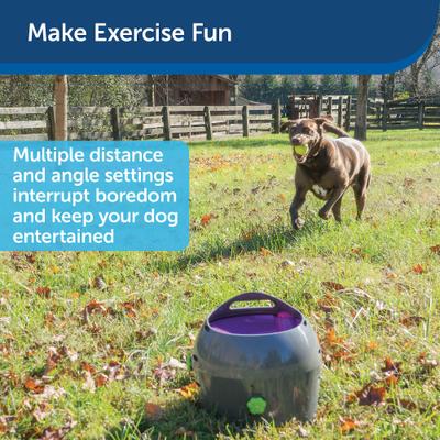 Show full view: PetSafe Automatic Ball Launcher Dog Toy slide 7 of 10