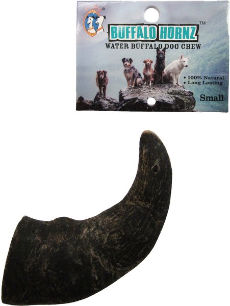 QT Dog Buffalo Hornz Water Buffalo Horn Dog Treat, Small slide 1 of 7