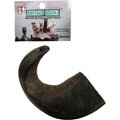 QT Dog Buffalo Hornz Water Buffalo Horn Dog Treat, Medium