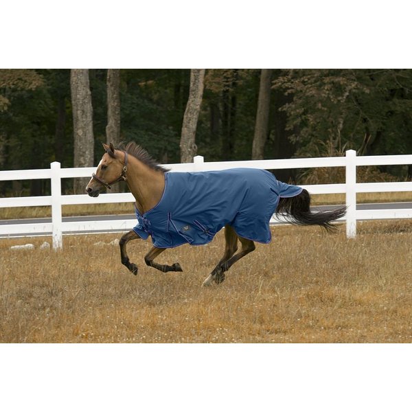 TuffRider 1200 D Comfy Medium Weight 200G Standard Neck Winter Horse Blanket
