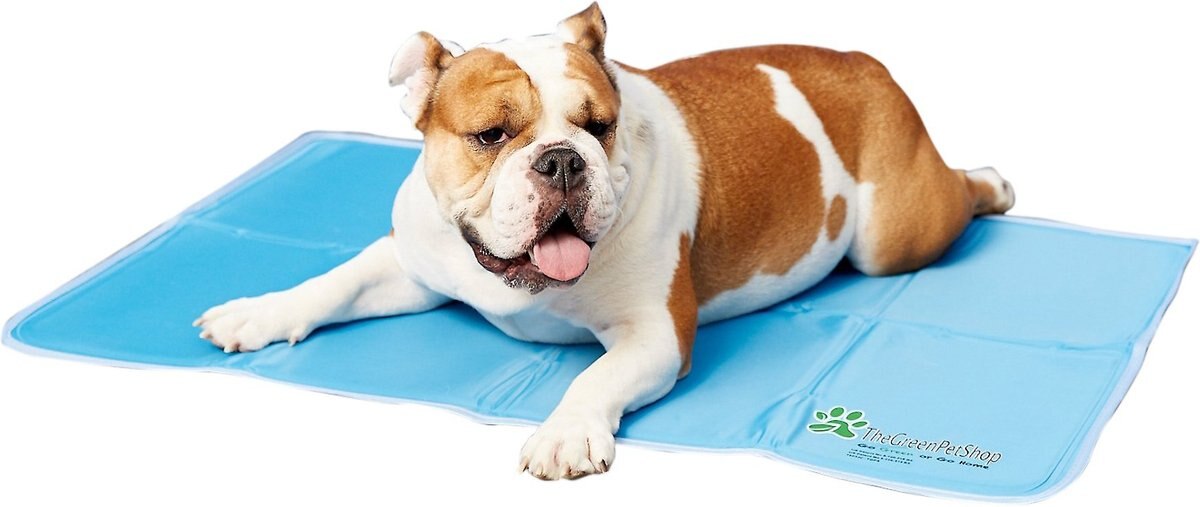 THE GREEN PET SHOP Cool Pet Pad, Large