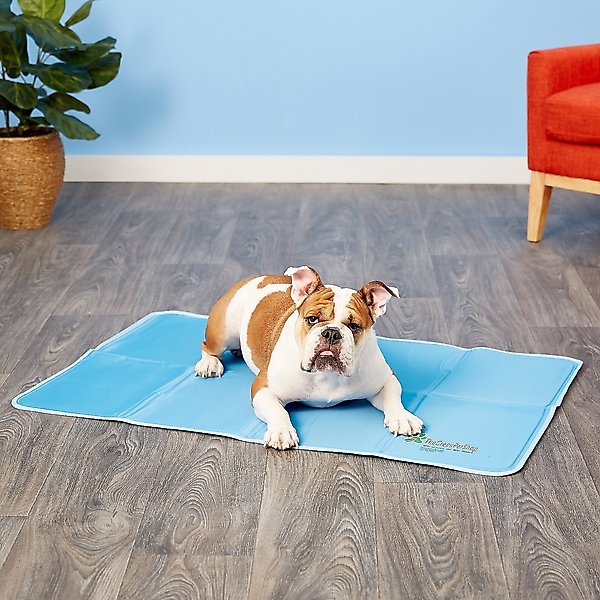The Green Pet Shop Cool Pet Pad, X-Large slide 1 of 8
