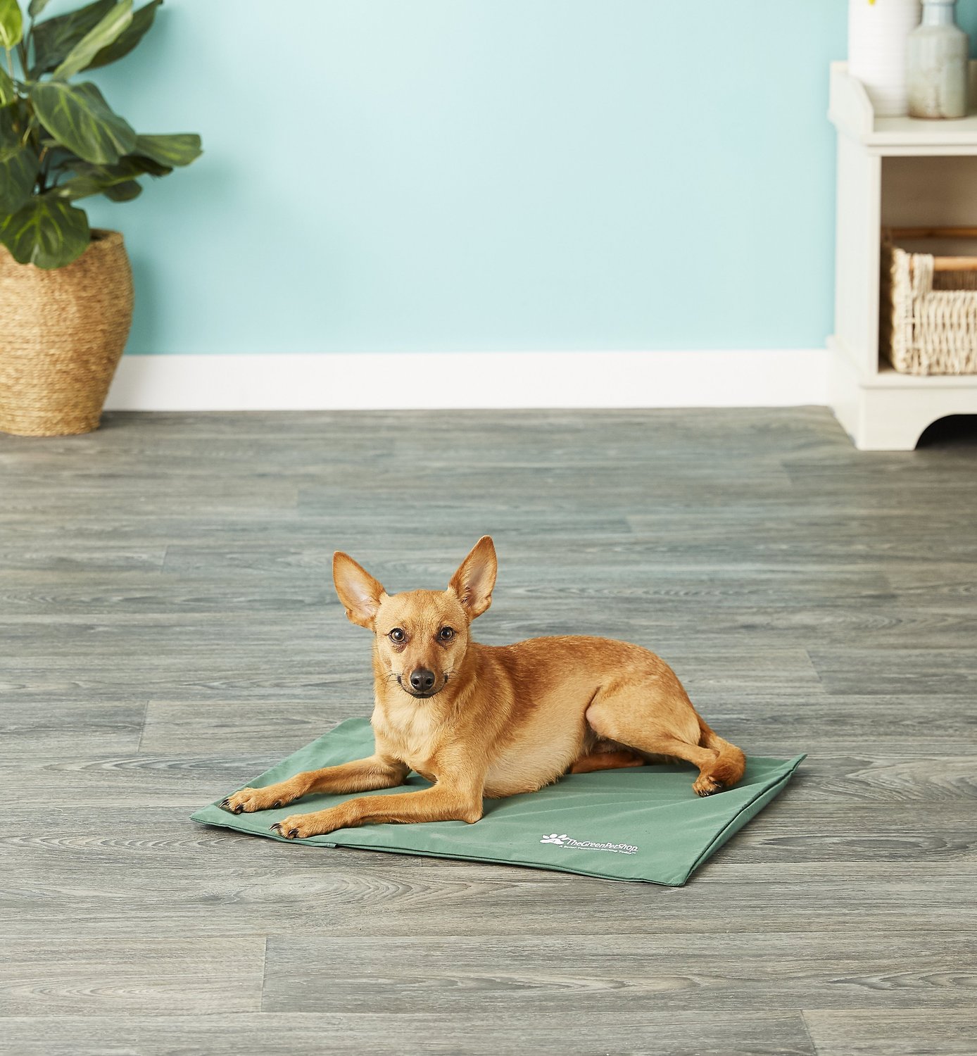THE GREEN PET SHOP Cool Pet Pad Cover for Cool Pet Pad, Medium
