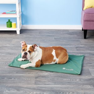 The Green Pet Shop Cool Pet Pad Cover for Cool Pet Pad, Large