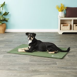 The Green Pet Shop Cool Pet Pad Cover for Cool Pet Pad, X-Large