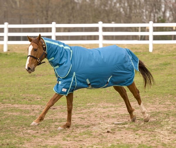 TUFFRIDER Ecorider 1200 D Medium Weight 250G Combo Neck Horse Turnout