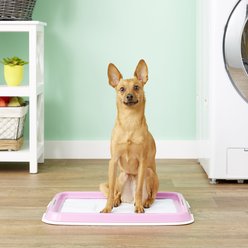 IRIS Dog & Puppy Training Pad Holder, Pink slide 2 of 5