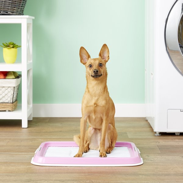 IRIS Dog & Puppy Training Pad Holder